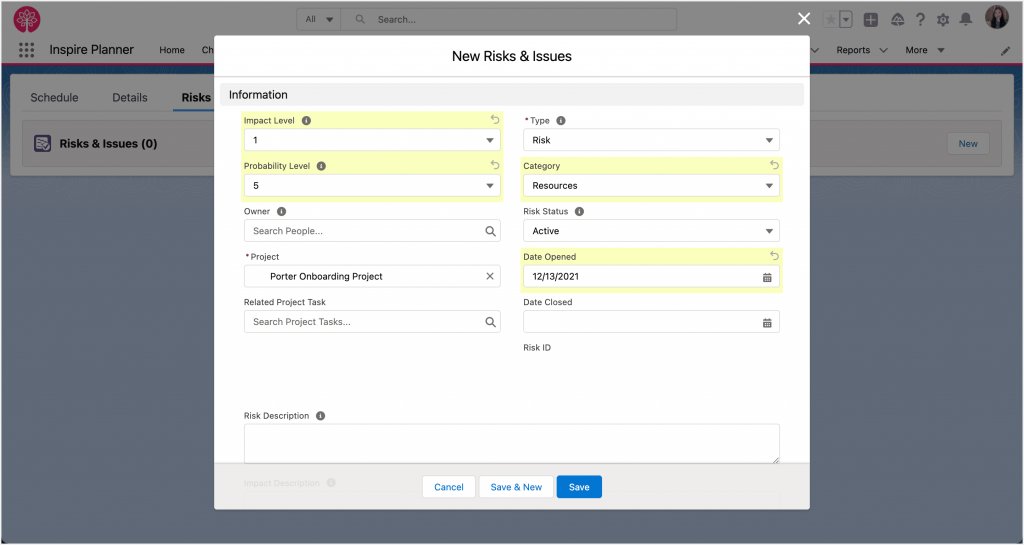 Project Risk Register in Inspire Planner, a Salesforce native project management app