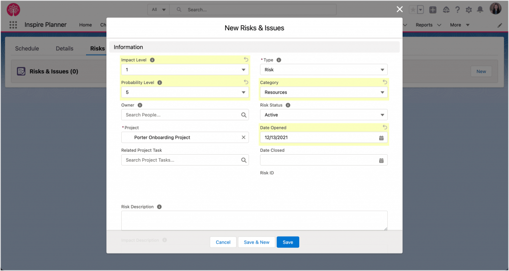 Project Risk Register in Inspire Planner