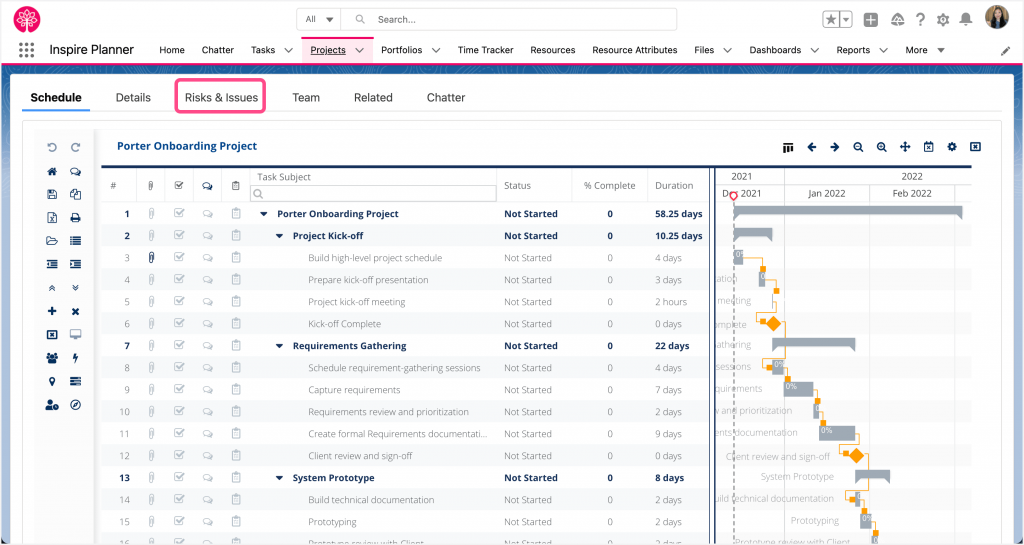 Risks and Issues in Inspire Planner, a Salesforce native project management app