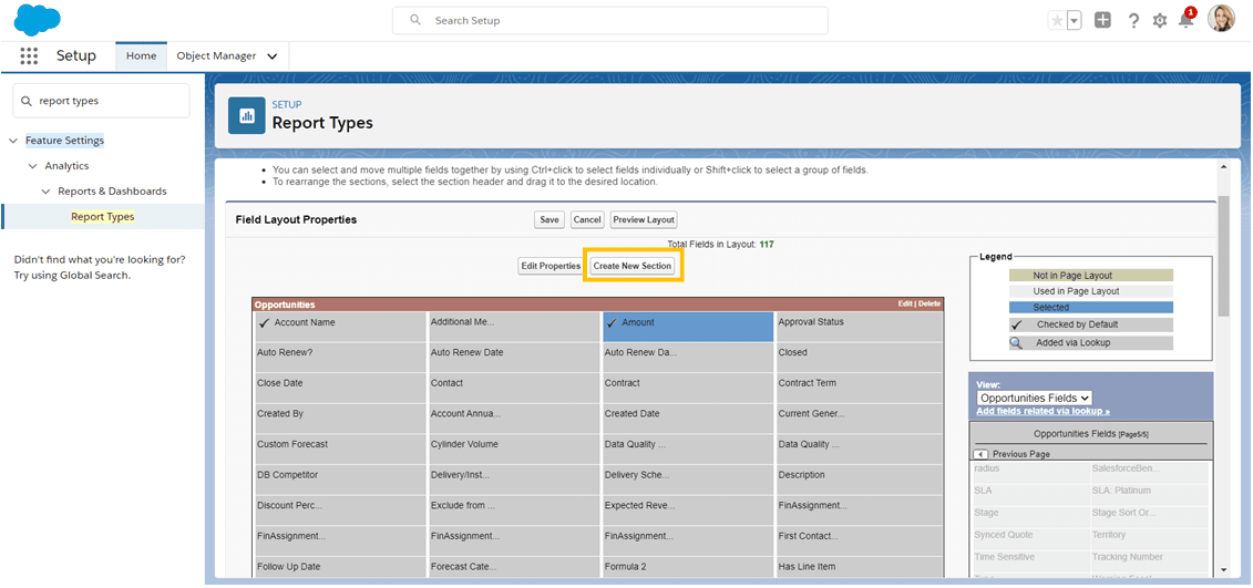 Create new section in a Salesforce Custom Report Type