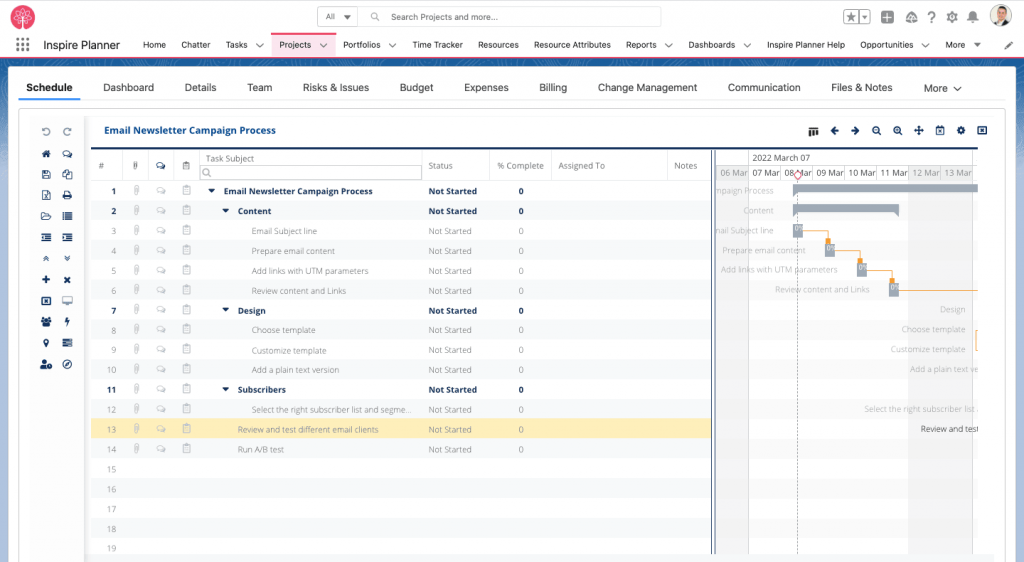 An example of a project in Inspire Planner, a Salesforce native project management app