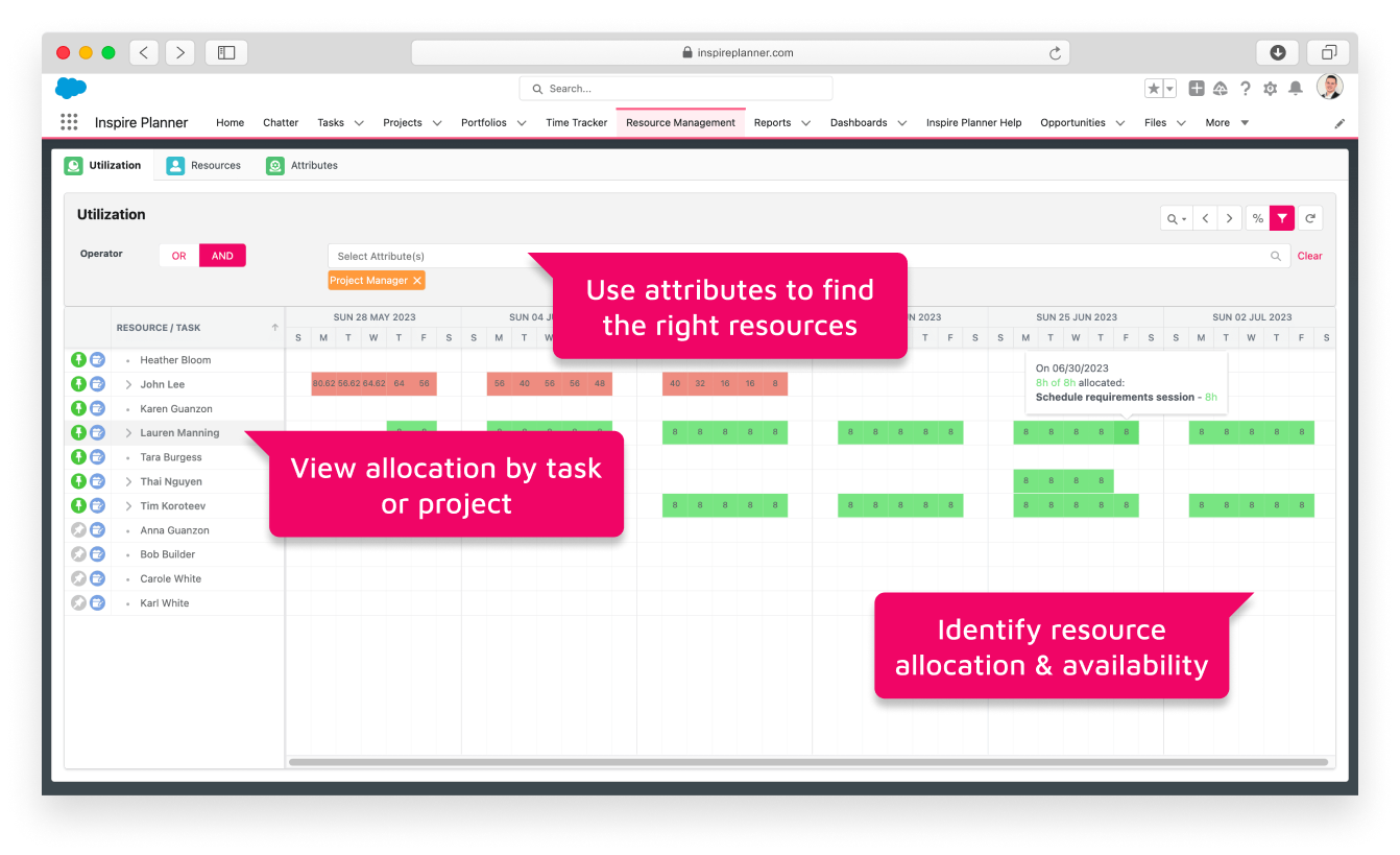 Resource Management in Inspire Planner Salesforce project management app