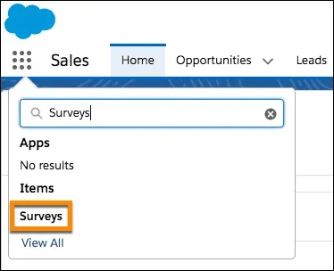 a Salesforce survey tool